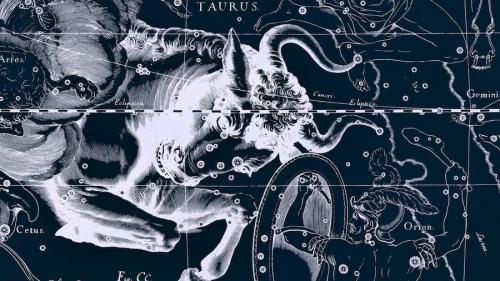 Характеристика знаков зодиака. Знаки зодиака: характеристика кратко