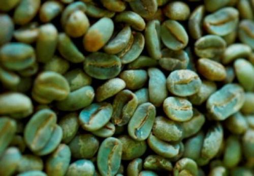 Масло кофейных зерен. Состав и полезные свойства масла зеленых кофейных зерен