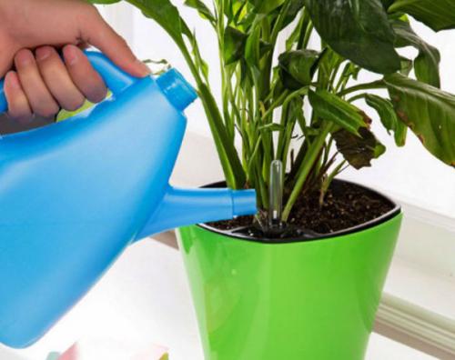 Перекись водорода для. Наружное применение перекиси водорода 05 Перекись водорода для. Наружное применение перекиси водорода 05