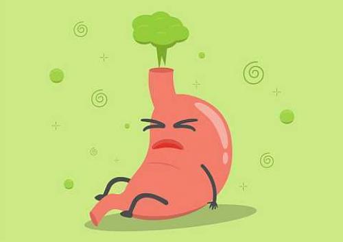 Народные средства от метеоризма и вздутия живота у взрослых. Травы от вздутия живота и газов