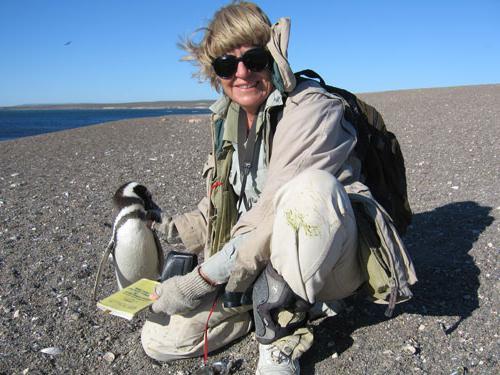 Самые древние профессии. ТОП-11 древних профессий 01 Самые древние профессии. ТОП-11 древних профессий 01