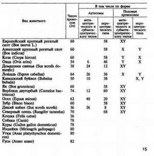 Сколько хромосом у картошки. Сколько хромосом имеет кариотип картошки