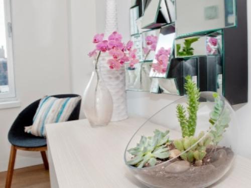 Комнатная бегония уход. Бегония – уход и выращивание 05