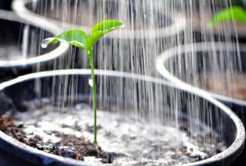 Перекись водорода для. Наружное применение перекиси водорода 04 Перекись водорода для. Наружное применение перекиси водорода 04