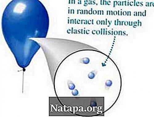 Разница между мигрантами и иммигрантами. Разница между иммигрантом и мигрантом