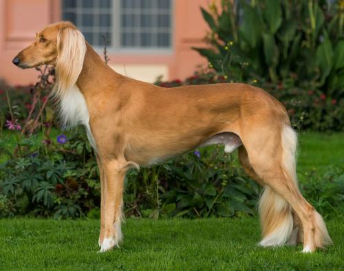 ТОП 10 самых дорогих спиннеров. Топ 10 самых дорогих в мире спиннеров 14