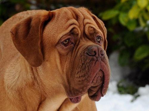 ТОП 10 самых дорогих спиннеров. Топ 10 самых дорогих в мире спиннеров 10