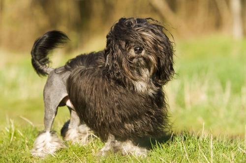 ТОП 10 самых дорогих спиннеров. Топ 10 самых дорогих в мире спиннеров 15