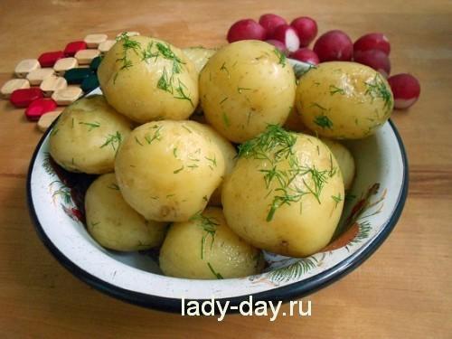 Как варить картошку молодую. Как вкусно сварить молодую картошку