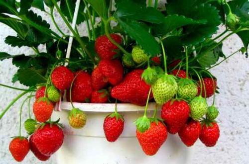 Как правильно делать девушке. С чего начать? 02