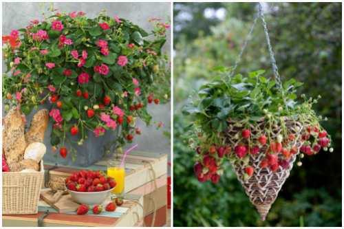 Как правильно делать девушке. С чего начать? 03 Как правильно делать девушке. С чего начать? 03