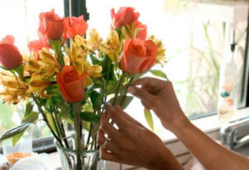 Как правильно дарить цветы по этикету. Как правильно дарить и правильно принимать цветы — несколько простых советов