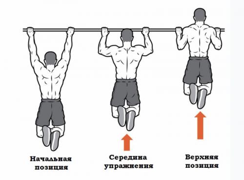 Как быстро научиться подтягиваться на турнике с нуля. Как начать подтягиваться на турнике с нуля