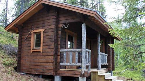 Баня. Собираетесь строить баню на даче? 100 фото + 5 проектов