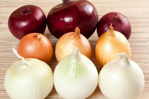 Как правильно хранить овощи зимой. Хозяйство вести – не грушу трясти. Как сохранить овощи в квартире зимой