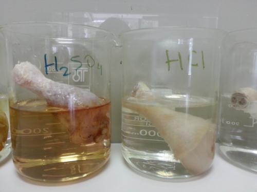 Плавиковая кислота и стекло реакция. Действие кислот на живые ткани