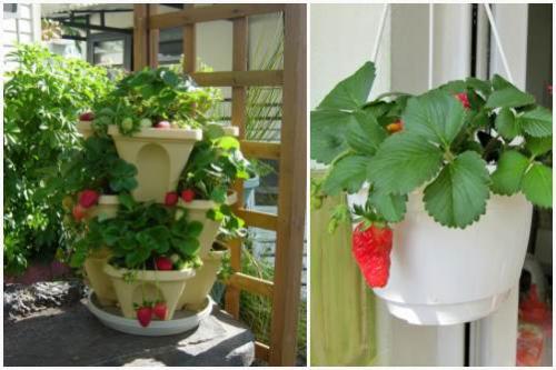 Как правильно делать девушке. С чего начать? 04 Как правильно делать девушке. С чего начать? 04