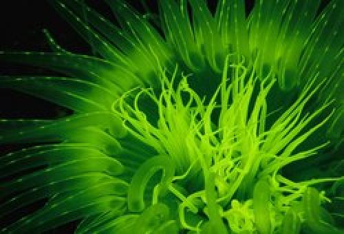 Что в мире происходит за 1 минуту. 10 вещей, происходящих каждую секунду на Земле