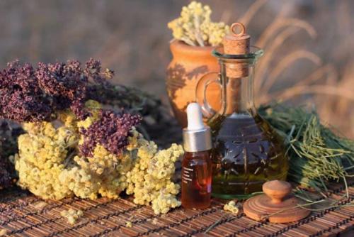 Нетрадиционная медицина виды. Лучшие виды нетрадиционной медицины