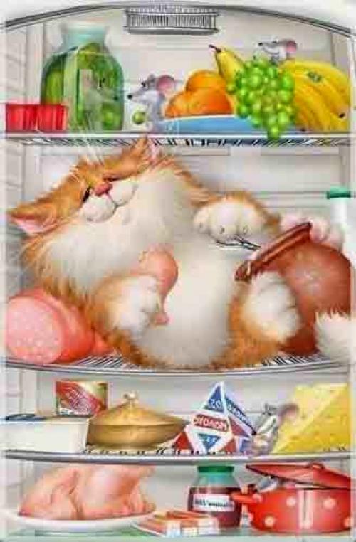 Как правильно хранить продукты в холодильнике. Правила хранение продуктов в холодильнике дома 