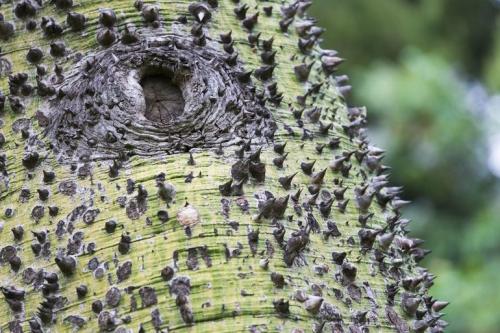 Интересные факты об обществе. 9 шокирующих фактов об обществе, которые мы привыкли принимать за норму (5 фото) 04