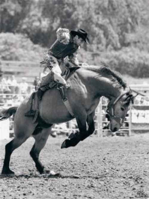 Дикий запад викторины. Интересные факты про ковбоев 04 Дикий запад викторины. Интересные факты про ковбоев 04