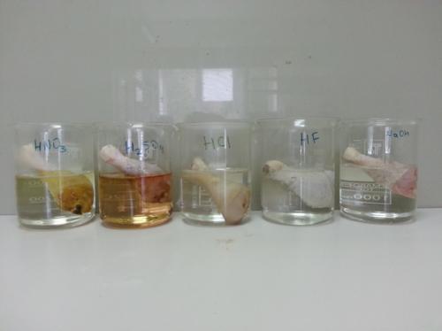 Плавиковая кислота сильная или слабая. Действие кислот на живые ткани