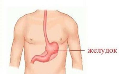 Пучит живот газы, что при этом нужно делать. Почему бывает?