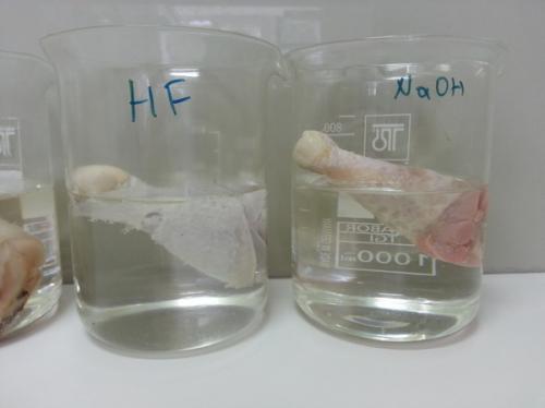 Плавиковая кислота сильная или слабая. Действие кислот на живые ткани