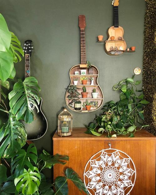 Уход за в домашних условиях за цветами. Уход за комнатными растениями: подготовка к зимовке 03