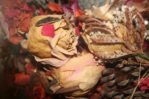 Как засушить цветы, чтобы они не потеряли цвет и форму. Как правильно засушить растения