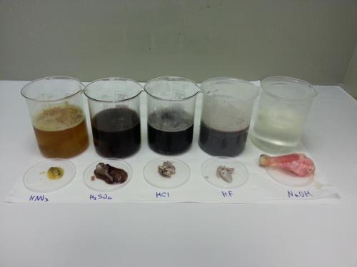 Плавиковая кислота сильная или слабая. Действие кислот на живые ткани