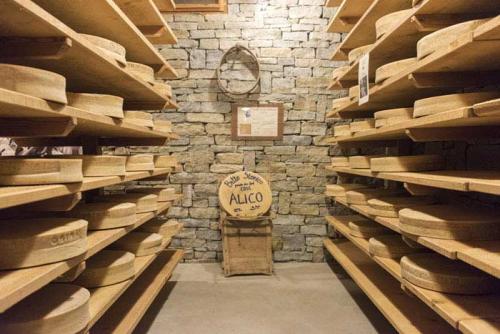 Самый дорогой в мире сыр. 