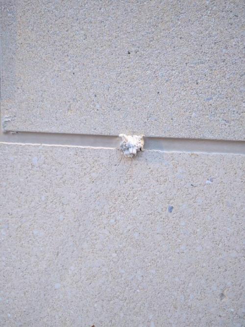 Тот кто делает эту вещь. «Что это?» — непонятные предметы, назначение которых объяснили интернет-пользователи