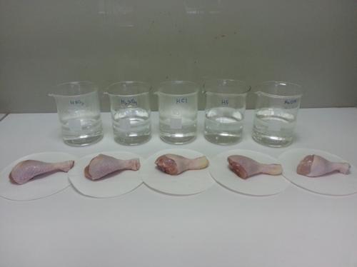 Плавиковая кислота сильная или слабая. Действие кислот на живые ткани