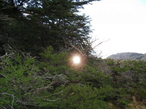 Самые необъяснимые явления. 8 загадочных явлений природы, которые наука не может объяснить 11 Самые необъяснимые явления. 8 загадочных явлений природы, которые наука не может объяснить 11