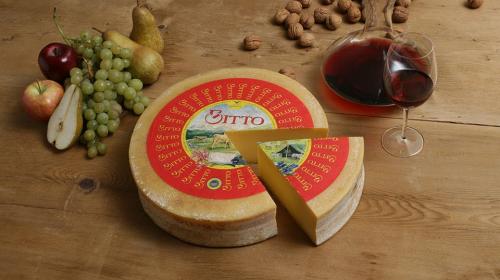 Самый дорогой сыр в мире. Топ-10 самых дорогих сыров