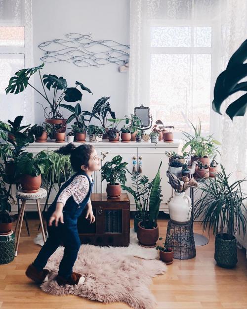 Уход за в домашних условиях за цветами. Уход за комнатными растениями: подготовка к зимовке 02