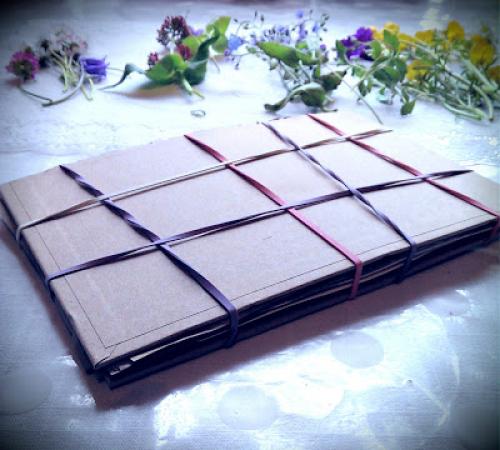 Как засушить цветы, чтобы они не потеряли цвет и форму. Как правильно засушить растения 08