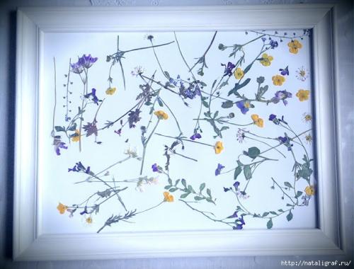 Как засушить цветы, чтобы они не потеряли цвет и форму. Как правильно засушить растения 04