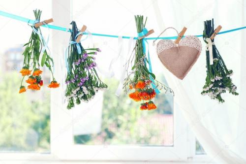 Как засушить тюльпаны. 12 способов засушить живые цветы