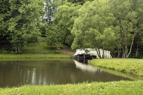 Из за чего была дуэль Лермонтова. Дуэль М.Ю. Лермонтова с Н.С. Мартыновым. 07 Из за чего была дуэль Лермонтова. Дуэль М.Ю. Лермонтова с Н.С. Мартыновым. 07
