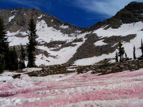 Аномальные явления природы. 8 аномальных природных явлений