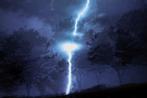 Дерево в которое ударила молния. Клад под деревом, пораженным молнией: миф или реальность?