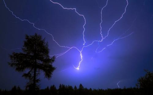 Дерево в которое ударила молния. Клад под деревом, пораженным молнией: миф или реальность?