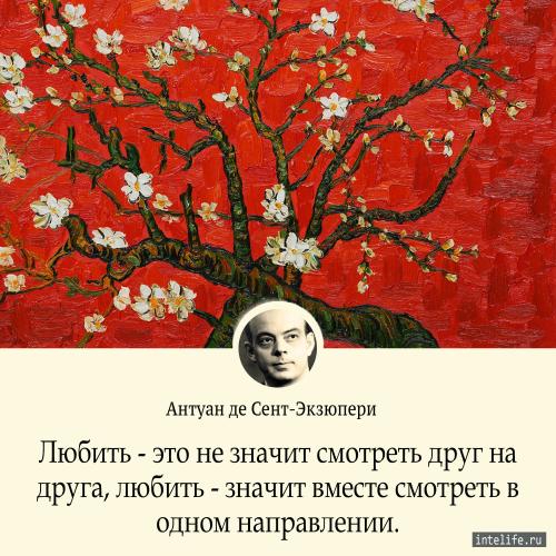Что мужчинам нравится в постели. Как понравиться мужчине в постели, не имея много опыта 06