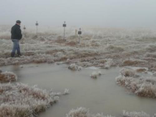 Нет жизни после смерти красная линия. «Красная Линия» выпустила фильм-расследование о ржевском кладбище на болоте