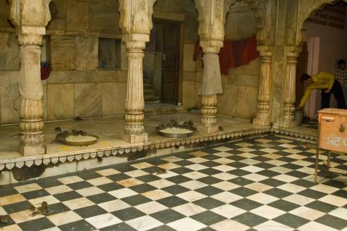 Интересные факты индия. Индия: интересные факты о стране 19