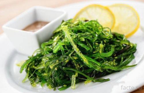 Интересные факты о японской кухне. Интересное о японской кухне