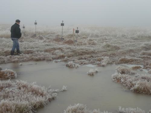 Нет жизни после смерти красная линия. «Красная Линия» выпустила фильм-расследование о ржевском кладбище на болоте